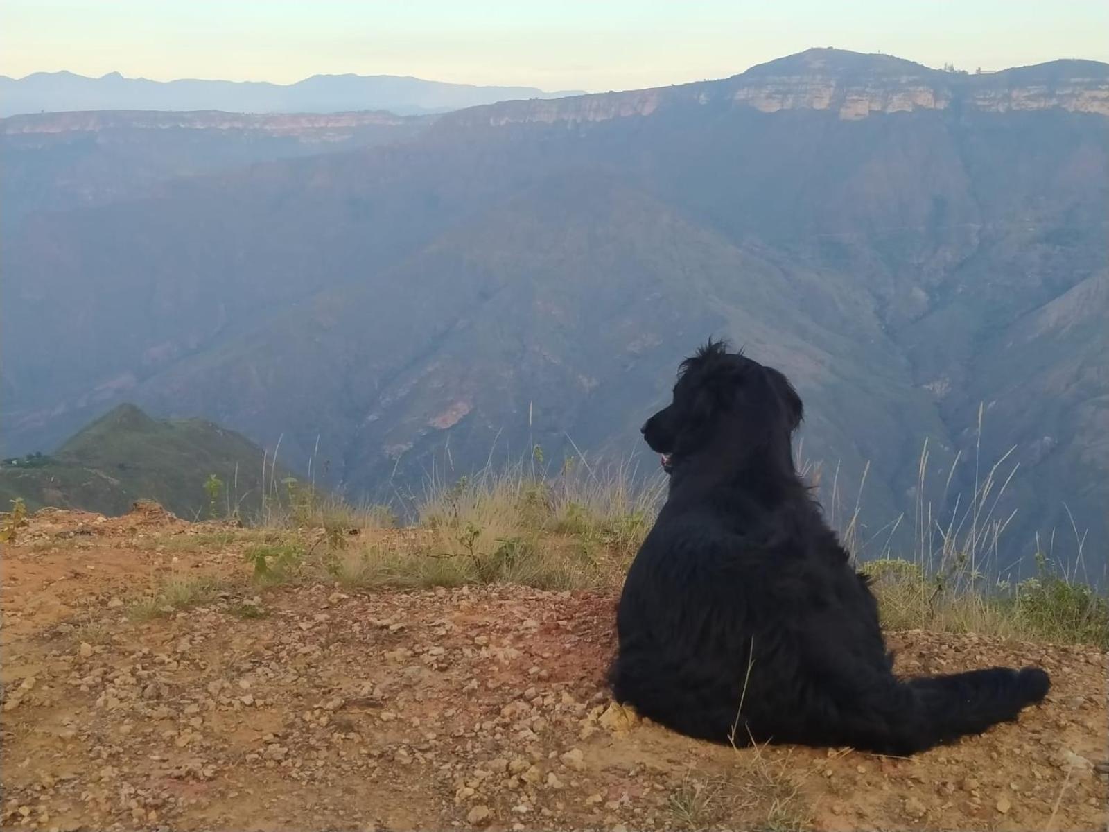Cabanas Canon Del Chicamocha Aratoca Eksteriør billede