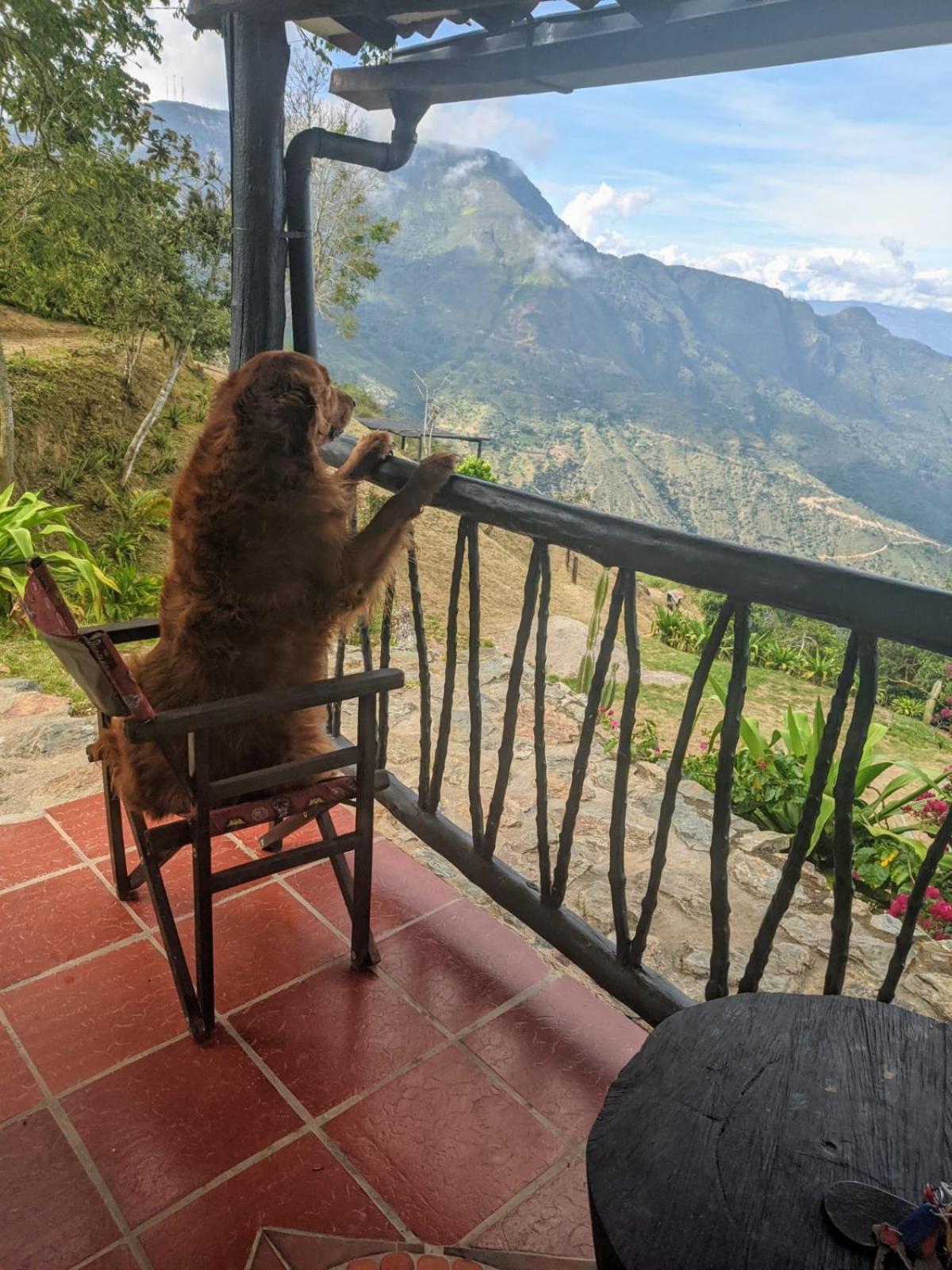 Cabanas Canon Del Chicamocha Aratoca Eksteriør billede